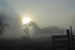 Pronostican miércoles frío al amanecer, con neblinas y aumento gradual de la temperatura