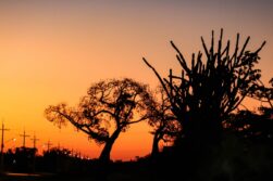 Lunes de calor en aumento y escasas lluvias en casi todo el territorio nacional