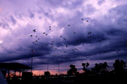 Junio se despide con lluvias dispersas en gran parte del país y mañana ingresa un nuevo frente frío con tormentas.