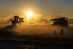 Sistema de tormentas podría afectar al país desde este viernes