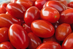 Tras encarecimiento del tomate liberan importación