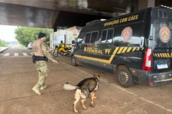 Policía Federal del Brasil comienza a usar PERROS AMESTRADOS para regiones de FRONTERA
