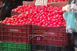 Mientras en Asunción EXPORTAN a la Argentina TOMATES y CEBOLLA en el ESTE lo meten de CONTRABANDO desde el país vecino