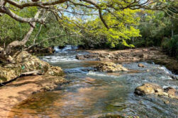 Viernes muy caluroso con probabilidad de chaparrones