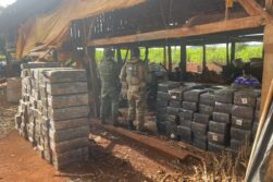 Hallan DEPOSITO con cerca de 3 MIL kilos de MARIHUANA a orillas del Lago de Itaipu