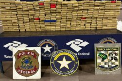 Decomisan 250 kilos de MARIHUANA que estaban en un FURGÓN de transporte ALTERNATIVO y el conductor se FUGÓ.
