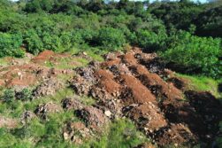 Piden investigar posible DAÑO AMBIENTAL en predio del Club Acaray donde hay HUMEDALES y CAUCE HÍDRICO.
