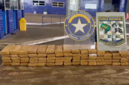 ALERTAN sobre USO de MENORES PARAGUAYOS para TRAFICO internacional de DROGA por el Puente de la Amistad.