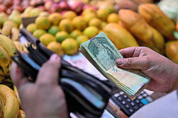 Costo de la canasta básica no coincide con el salario mínimo.