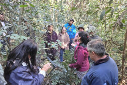 Dictan taller sobre medición de rasgos funcionales de plantas del Bosque Atlántico del Alto Paraná.