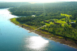 Reserva Natural Yvyty Rokái de ITAIPU cumple 17 años protegiendo la rica biodiversidad del país.