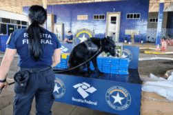 Con la ayuda de PERROS detiene a un PARAGUAYO con 81 kilos de COCAÍNA en el Puente de la Amistad