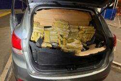 Detienen en BRASIL a una pareja de PARAGUAYOS con 184 kilos de MARIHUANA en un auto con chapa ARGENTINA