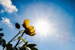 Jueves de calor extremo: Sensación térmica superará los 38°C en todo el país