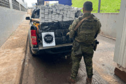 Desmantelan DEPÓSITO de MARIHUANA del Crimen Organizado que operaba cerca del río Paraná, en FOZ