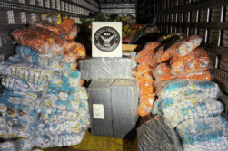 Incautan 1.200 kilos de MARIHUANA que fue llevado desde Ciudad del Este
