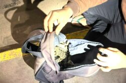 Incautan 12 YACARES, 10 LAGARTIJAS, una ANACONDA, y una PITON en el Puente de la Amistad