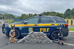 Paraguayo cae preso con 140 kg de cocaína en compartimento secreto de camioneta en Brasil.