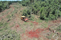 Allanamientos en dos fincas por delitos ambientales dejan dos detenidos y maquinarias incautadas.