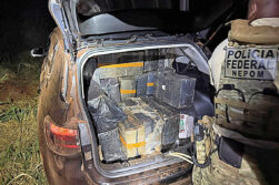 PF y Policía Civil incautan casi una tonelada de marihuana en Itaipulândia.