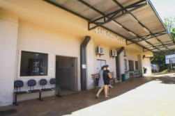 Niña de 6 años internada tras ser rescatada con severa infestación de larvas