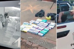 Contaba con GPS: Recuperan lote millonario de medicamentos robados tras allanamiento