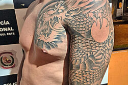 Aprehenden a ciudadano brasileño por violencia familiar y uso de documentos falsos