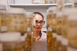 Colección Ictiológica de Tekotopa resguarda más de 6.000 ejemplares de peces de la zona de influencia de ITAIPU