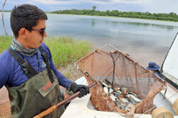 Estación de Acuicultura de ITAIPU produjo casi 3.000.000 de peces y fomentó la conservación de la biodiversidad