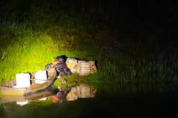 Armada y DNIT incautan MUSLO de POLLO y CEBOLLA a orillas del Río Paraná