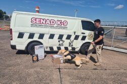 Incautan 3,30 kilos de presunta marihuana en carga aérea