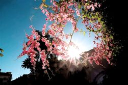 Anuncian temperaturas en aumento para este viernes y el fin de semana