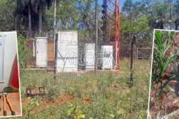 Detienen a hombre tras robar baterías de antena telefónica en Juan E. O’Leary