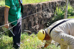 Hospital regional acompaña operativo pre clases en instituciones educativas