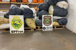 Decomisan 300 kilos de CAPULLO de MARIHUANA a orillas del río Paraná