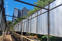INSÓLITO: Ponen CONCERTINA de SEGURIDAD en pasarela peatonal de Ciudad del Este, y es un PELIGRO para ciudadanos