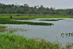 Reserva Natural Pozuelo de ITAIPU cumplio 12 años como pieza fundamental en la conservación del BAAPA