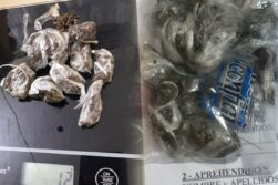 Incautan supuesta marihuana en la cárcel de mujeres