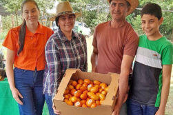 Productores de Alto Paraná participaron de una jornada técnica en producción de tomate