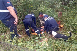 Habría ingresado a hurtar y sufrió una fuerte descarga eléctrica