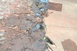 CONTAMINACIÓN AMBIENTAL de BIGGIE: Notificación municipal: TIRARON a la BASURA y siguen TIRANDO su CLOACA en la calle.