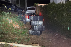 Incautan 2 mil VAPEADORES a orillas del río Paraná el VIERNES SANTOS