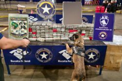 Brasileños incautan 134,5 kilos de marihuana ocultos en faros de vehículo paraguayo