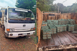 Se suspende la tortilla: Incautan camión con carga de huevos presumiblemente de contrabando en Presidente Franco