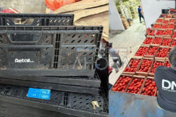 Incautan más de 50 toneladas de hortalizas presuntamente de contrabando en Fernando de la Mora