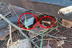 Pobladores habrían robado USD 1.5 millones de avioneta siniestrada