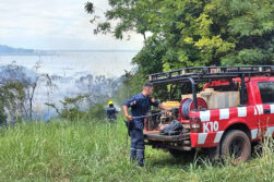 Condenan a tres personas por daños ambientales en la Reserva Natural Yguazú