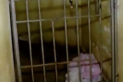 Detenido por violencia familiar se quitó la vida dentro de un calabozo