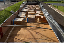 Camionero PARAGUAYO es detenido con 2.354 kilos de MARIHUANA escondidas en carga de TRIGO