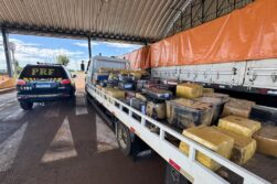 FRONTERA del TRAFICO: Incautan casi 4 toneladas de marihuana ocultas en una carga de derivado de la soja.